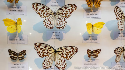 Lala Shan Baling ancient trail butterfly museum