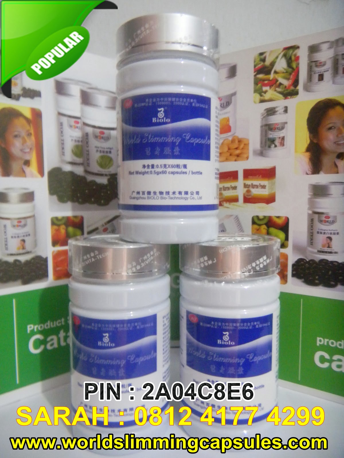 Wsc Biolo | Obat Diet Biolo | Biolo Slimming Capsule | Biolo Slimming | Biolo Slim | Biolo Slim Capsule