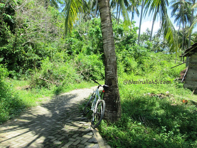 Jalanan menuju pantai Nyamplungan