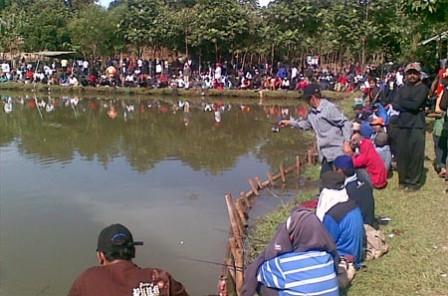 Usaha Kolam Pemancingan ikan - Peluang Bisnis Hiburan Alternatif