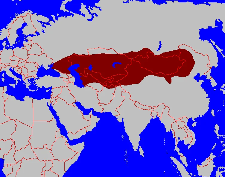 La mayor extensión del Imperio Gökturk.Greenvert