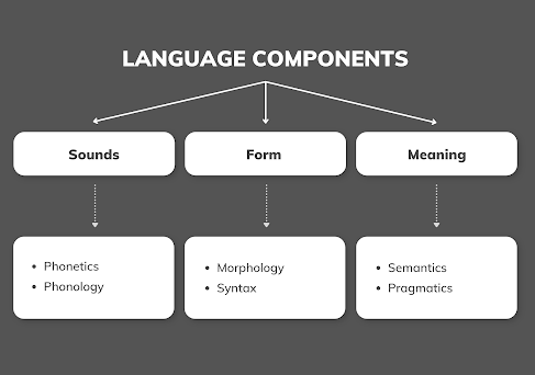 Language Components by Yadi - Caravel