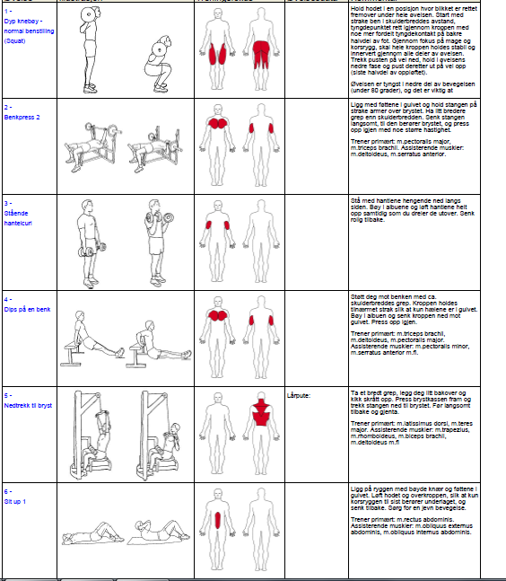 Oppvarming styrketrening