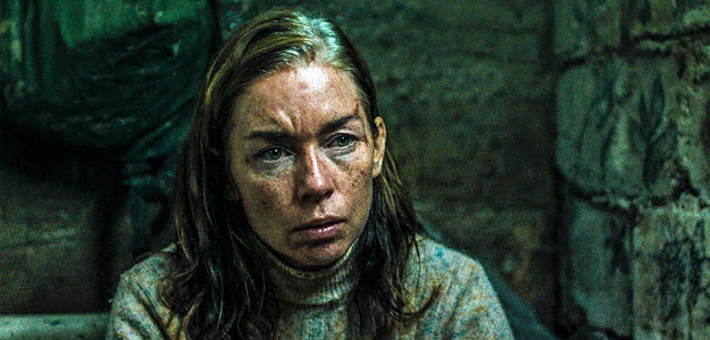 Julianne Nicholson