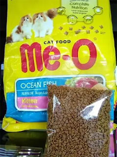 Makanan Kucing