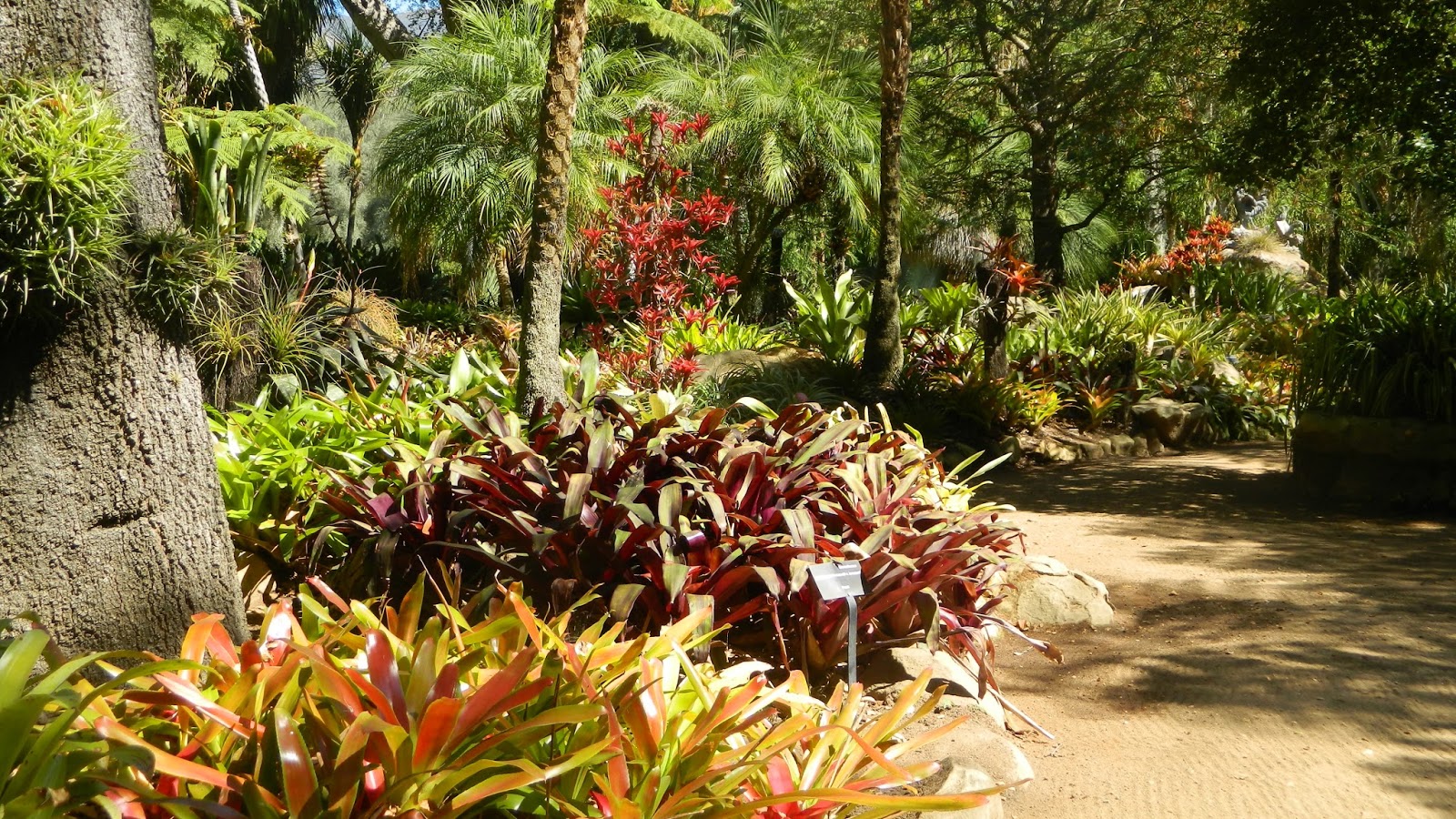 254 New lotusland topiary garden 810 Lotusland Is A Fantasyland For Gardeners 