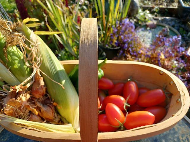 Trug of veggies