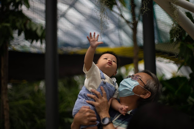 Bringing Babies to Jewel, Changi's Canopy Park