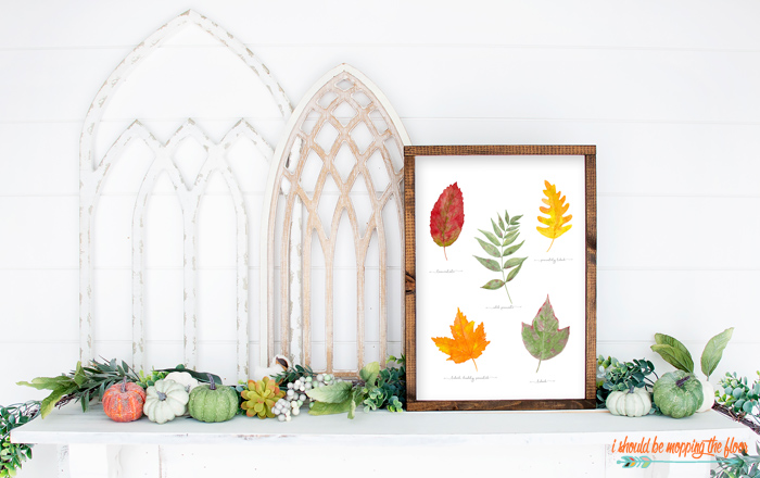 Free Printable Fall Leaf Designs