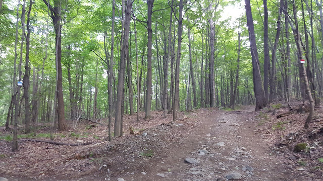 Sentier pédestre pour le mont Shefford