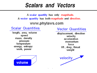 vector