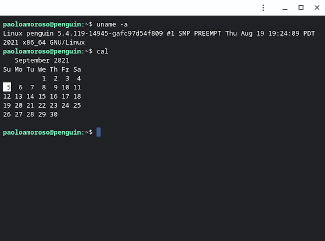 Crostini Linux Terminal on an ASUS Chromebox 3