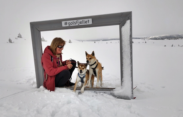 skitur storefjell stolpejakt