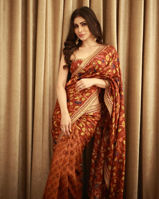 mouni roy photos in saree