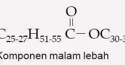 Manfaat, Kegunaan Lipid dalam Kehidupan, Senyawa Kimia