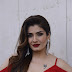 Raveena Tandon in Sexy Red Dress on Sabse Bada Kalakar Promo Shoot - Celebs Hot World HQ Photos No Watermark Pics