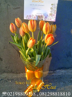 jual bunga tulip, rangkaian bunga tulip, bunga tulip ulang tahun, toko bunga di jakarta, karangan bunga tulip, bunga tulip ungu