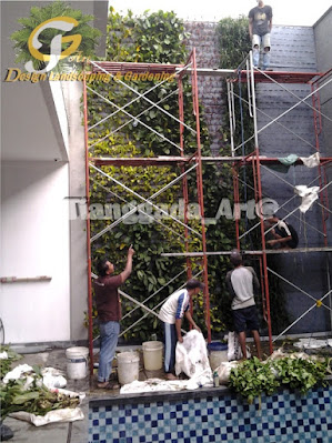 tukang taman vertikal garden dan jasa vertical garden tianggadha art