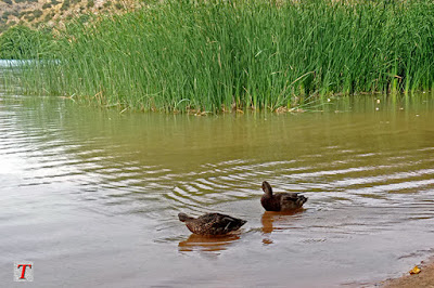 Parque Natural de las Lagunas de Ruidera