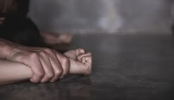  Eνώπιον της τακτικής Ανακρίτριας Ρόδου θα απολογηθεί σήμερα ένας 39χρονος υπήκοος Αλβανίας κατηγορούμενος για τον βιασμό της 27χρονης ομοεθ...