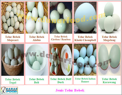 Agen Aneka Jenis Telur Bebek / Reseller Aneka Jenis Telur Bebek / Distributor Aneka Jenis Telur Bebek / Produsen Aneka Jenis Telur Bebek / Supplier Aneka Jenis Telur Bebek / Pabrik Aneka Jenis Telur Bebek / Dealer Aneka Jenis Telur Bebek / Importir Aneka Jenis Telur Bebek / Eksportir Aneka Jenis Telur Bebek / Dropshipper Aneka Jenis Telur Bebek / Industri Aneka Jenis Telur Bebek / Stockist Aneka Jenis Telur Bebek / Perusahaan Aneka Jenis Telur Bebek / Grosir Aneka Jenis Telur Bebek / Kios Aneka Jenis Telur Bebek / Stand Aneka Jenis Telur Bebek / Pemasok Aneka Jenis Telur Bebek / Pedagang Aneka Jenis Telur Bebek / Penyalur Aneka Jenis Telur Bebek / Penyuplai Aneka Jenis Telur Bebek / Toko Aneka Jenis Telur Bebek / Depot Aneka Jenis Telur Bebek / Gerai Aneka Jenis Telur Bebek / Kedai Aneka Jenis Telur Bebek / Penjual Aneka Jenis Telur Bebek / Warung Aneka Jenis Telur Bebek / Jual Aneka Jenis Telur Bebek / Beli Aneka Jenis Telur Bebek / Usaha Dagang (UD) Aneka Jenis Telur Bebek / Perseroan Terbatas (PT) Aneka Jenis Telur Bebek / Commanditaire Vennontschap (CV) Aneka Jenis Telur Bebek / Pengusaha Aneka Jenis Telur Bebek / Juragan Aneka Jenis Telur Bebek / Wirausaha Aneka Jenis Telur Bebek / Wiraswasta Aneka Jenis Telur Bebek / Usahawan Aneka Jenis Telur Bebek / Saudagar Aneka Jenis Telur Bebek / Penjaja Aneka Jenis Telur Bebek / Toko Online Aneka Jenis Telur Bebek / Broker Aneka Jenis Telur Bebek / Bakul Aneka Jenis Telur Bebek / Depo Aneka Jenis Telur Bebek / Depo Waroeng Aneka Jenis Telur Bebek