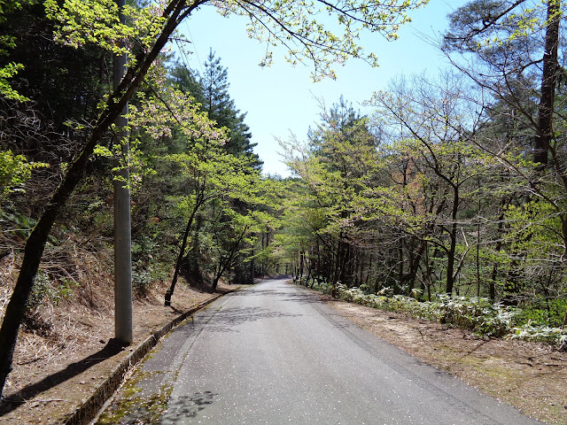 ふれあいの森キャンプ場