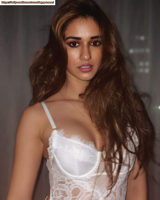 Bollywood Beautiful Actress Disha Patani