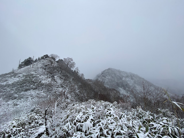 Snow on Mt. Takatsuma in November2