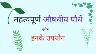 Top medicinal plants & uses in Hindi