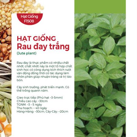 Hạt giống Rau đay trắng 711AQ