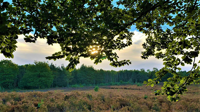 Inspirerende natuurwandeling