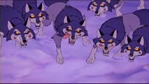 09 les loups