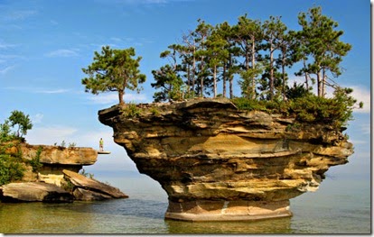 charming_turnip_rock_640_10