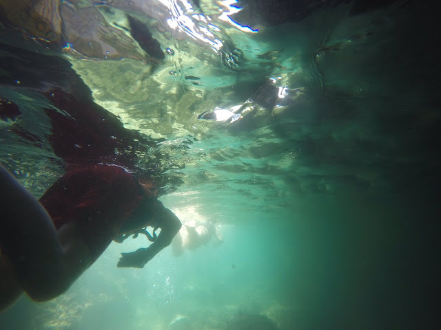 Taapsee Pannu Adventures Shoted Underwater