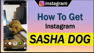 Sasha Dog Instagram Filter || How to get the dog Filter on Instagram