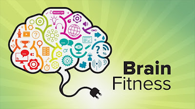Brain Fitness Software Market