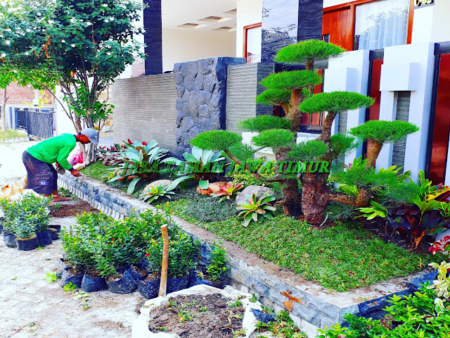 Kami merupakan penyedia jasa layanan pembuatan taman terbaik di jombang dan sekitarnya, Jasa kami membrikan pelayanan yang profesional bergaransi dan kompeten di bidang jasa pembuatan taman di kota jombang, tukang taman jombang mengerjakan Desain Pembuatan Taman di jombang, Kolam Minimalis Koi Water Wall, Relief Tebing, Vertical Garden, Lantai Carport.Tukang taman jombang|Jasa tukang taman jombang|Jasa taman di jombang|Jasa Pembuatan taman di jombang|Tukang Taman minimalis jombang|Taman Jepang jombang|Taman Bali jombang|Taman Zen Garden jombang|Taman Vertical Garden jombang|Vertical Garden jombang|Taman Clasic modern jombang|Taman Mediterania jombang|Taman Eropa jombang|Taman kering jombang|Taman Batu Di jombang|Jasa buat Taman di wilayah jombang|Jasa Penanaman Pohon Pelindung jombang|Jasa Tanam Rumput Di jombang|Jasa Pembuatan taman di sekitar jombang| Info Jasa Taman jombang|Tukang Taman berpengalaman di jombang|Jasa Taman Berkualitas tinggi jombang|Tukang Taman profesional Di jombang|Taman rumah mewah jombang|Tukang Taman Panggilan di jombang|Tukang Taman Online Di jombang|Jasa Taman Ahli di sekitar kota jombang.