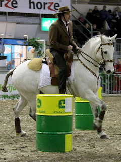 Jaakko Nuotio, Rohan talli, working equitation, Tampereen hevosmessut