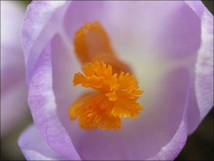 April2009 068