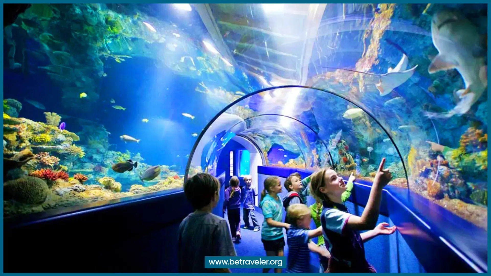 Bournemouth Oceanarium