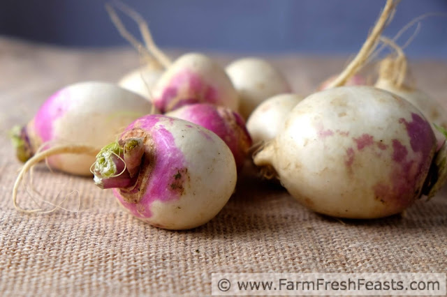 Shredded carrots and turnips, combined with a bit of spring onion, make an earthy and sweetly savory side dish or appetizer. Topped with some parmesan cheese and butter, it's a tasty way to enjoy the farm share. Use a waffle iron to make this fun snack.