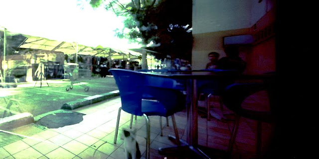 Holga 120-Pan, Trying To Get It Right I 02