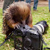 Rat Playing With Video Camera