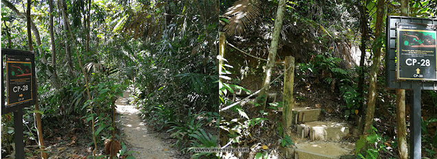 Taman Tugu Forest Trail Highlights