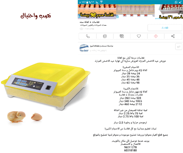 شريت فقاسه البيض 24 حبه بسعر 28 معي التوصيل 30 دينار وفاشله لا احد يشتريها Hatchery eggs