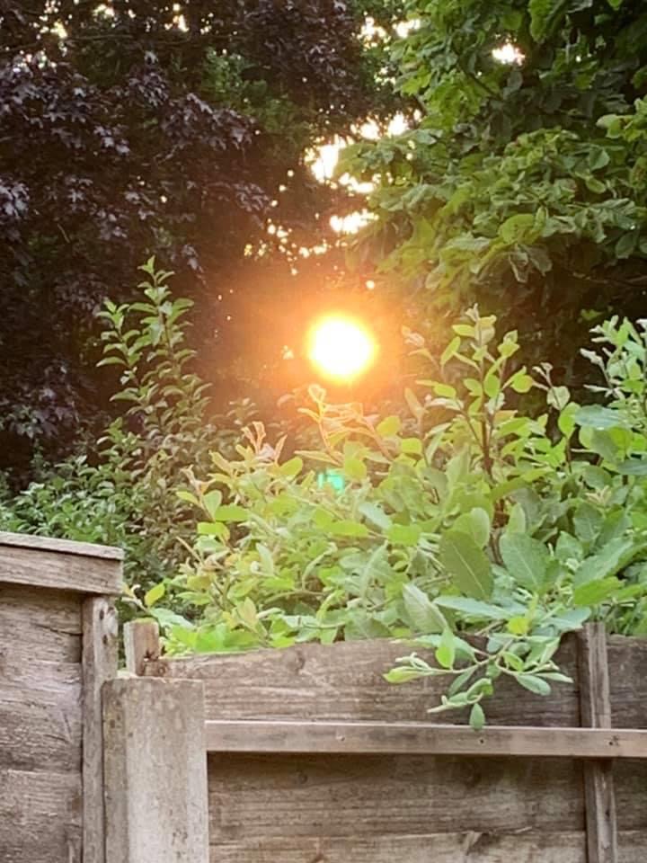 sunset over fence