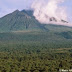 Nord-Kivu : la société civile opposée à l’exploitation du pétrole dans le parc de Virunga