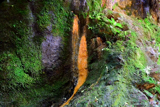 orange spring in rock wall, Rio Viejo