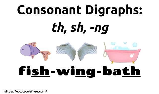 Consonant Digraphs: th, sh, -ng - 1st Grade Phonics
