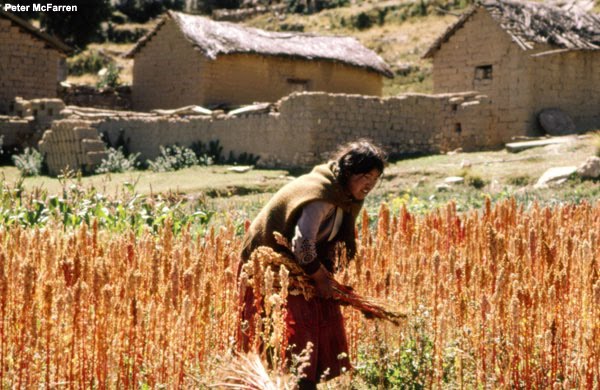 La situación de la industria Boliviana en los primeros años independientes